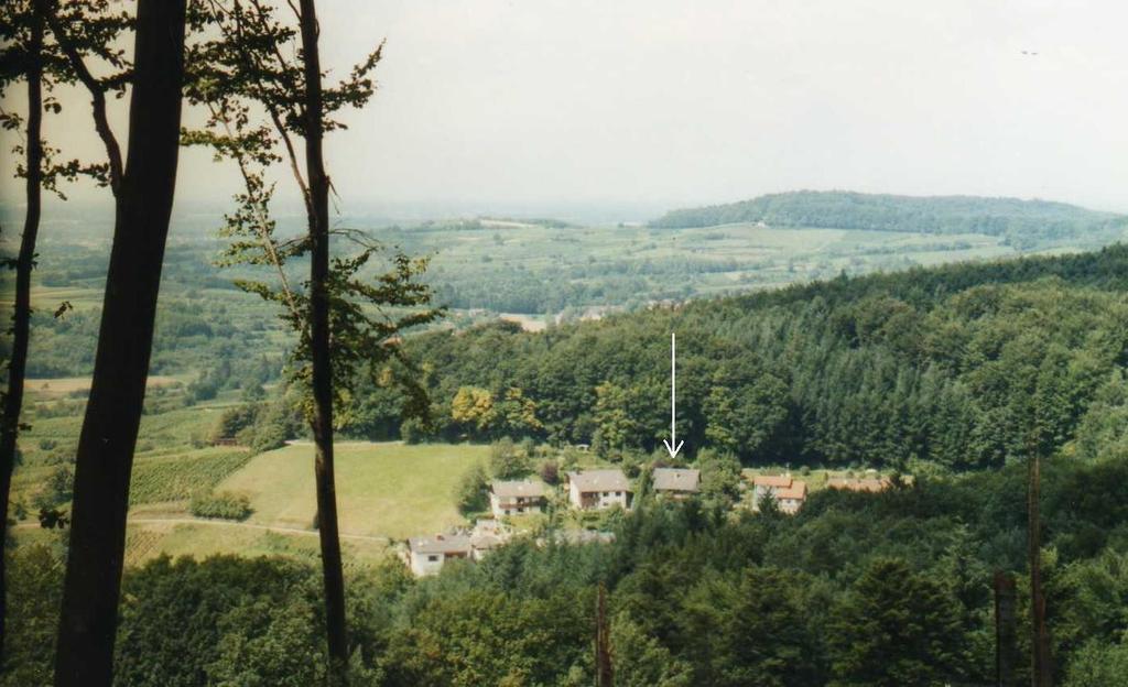 Ferienwohnung Unterschuetz Ettenheim Exterior foto